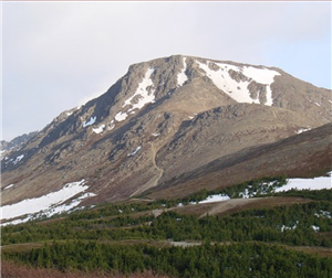 Blueberry Hill at Flattop 